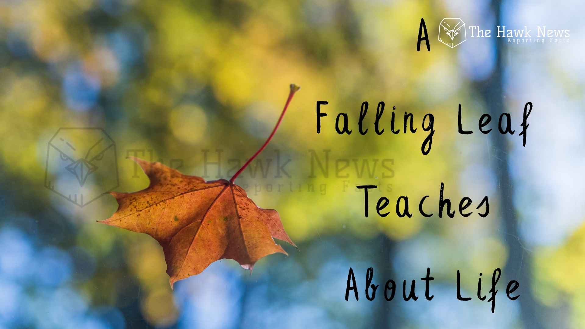 The Whisper of Change: What a Falling Leaf Teaches About Life