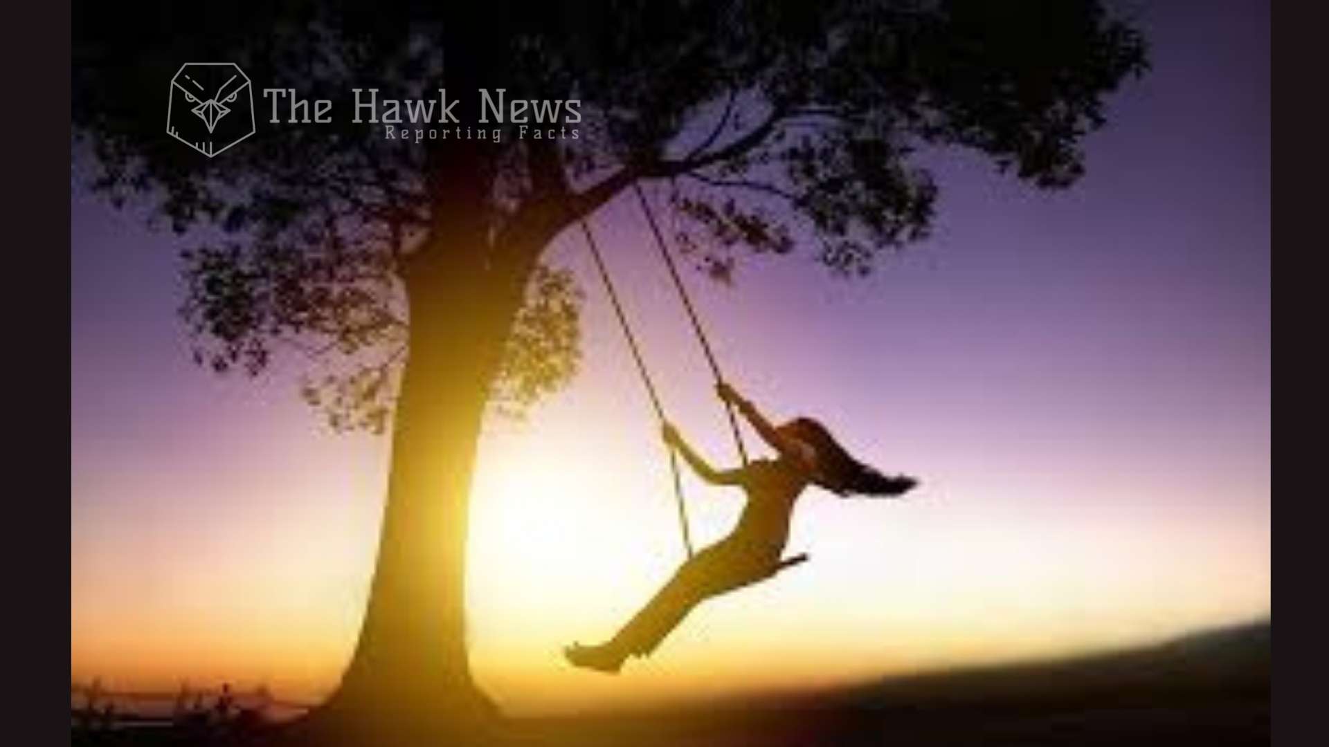 Ambience with Motion: How Swings Transform Mood and Space