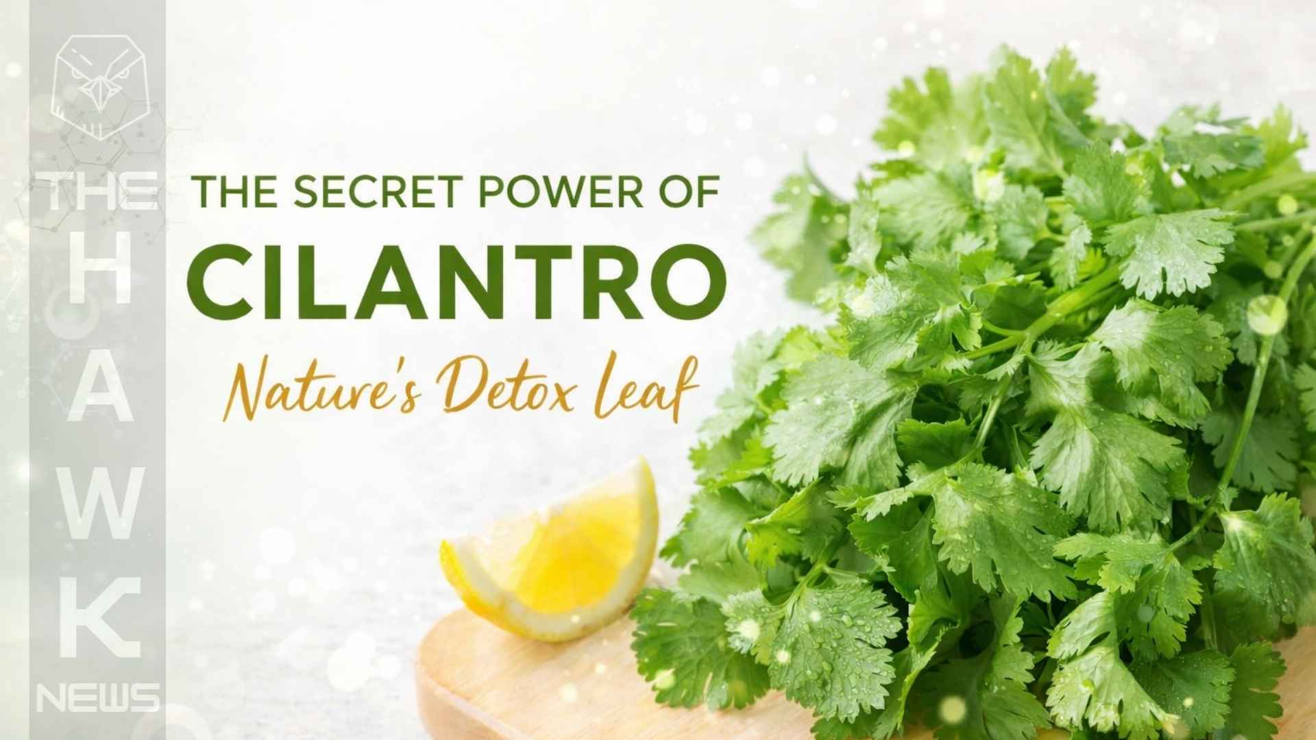 The Secret Power of Cilantro: The Herb That Detoxes More Than Just Your Taste Buds