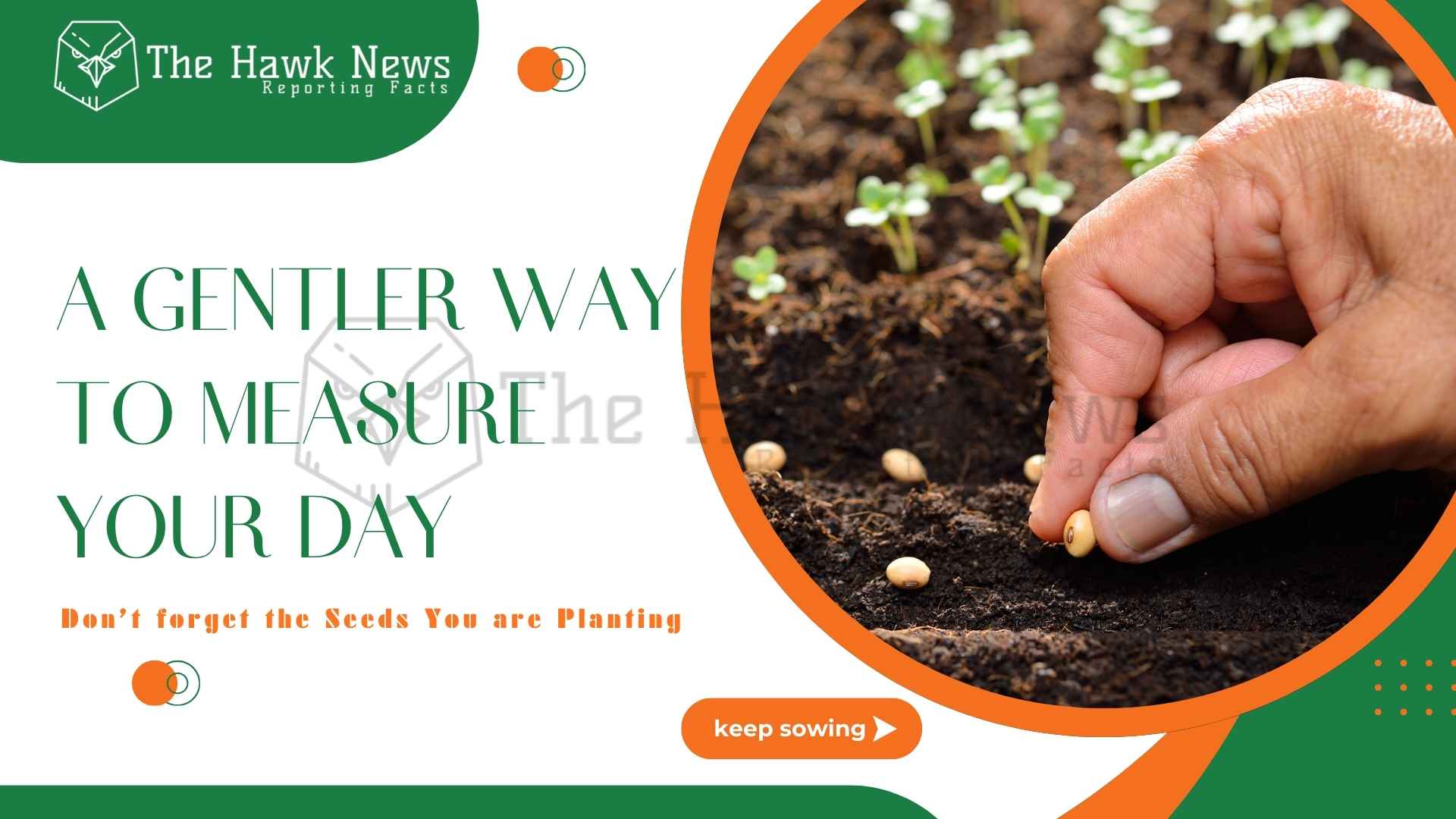 The Seeds We Forget We’re Planting: A Gentler Way to Measure Your Day