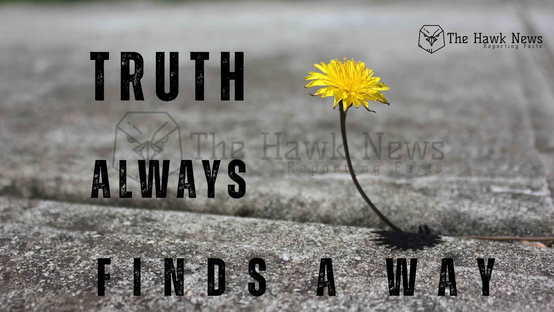 The Shelf Life of Lies: Why Truth Always Finds a Way