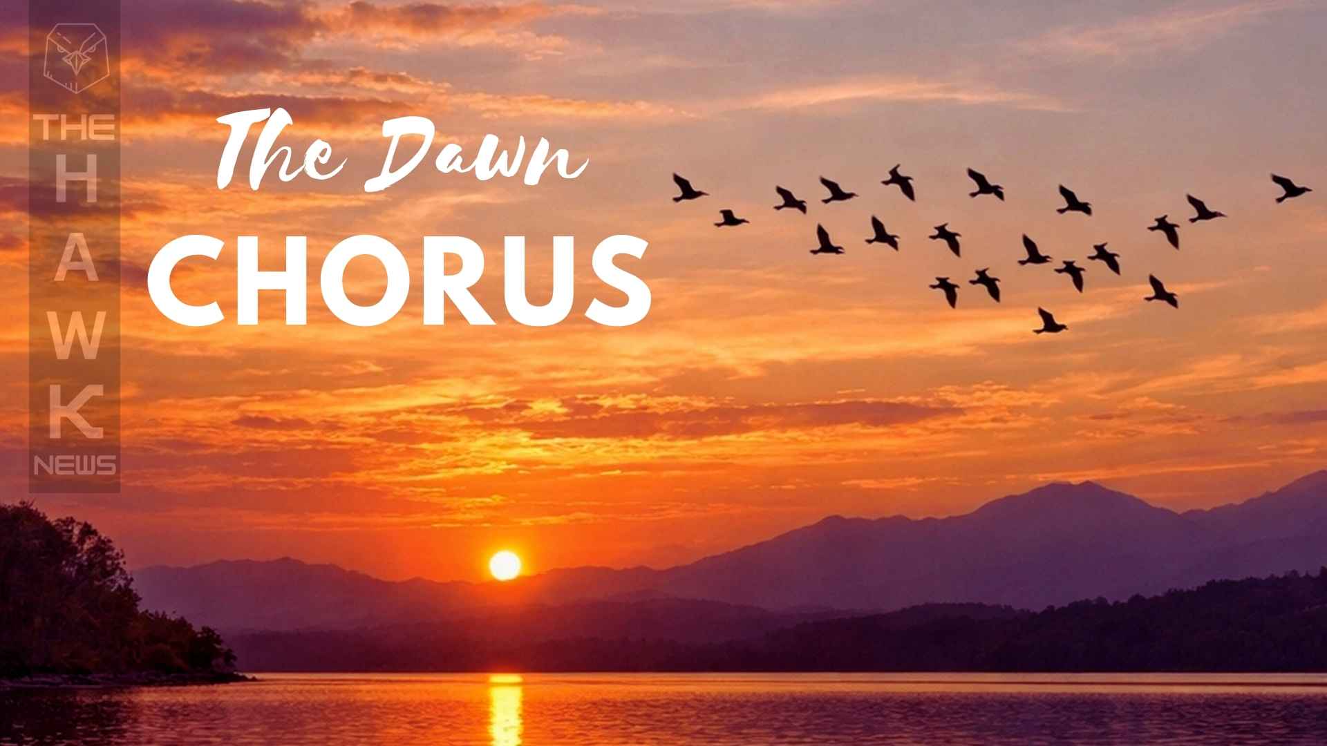 The Dawn Chorus: When the Earth Wakes Singing